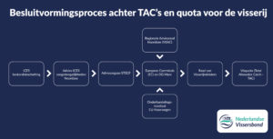 Besluitvormingsproces achter TAC's en quota visserij