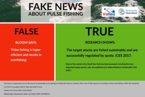 Fake news puls - Sustainably