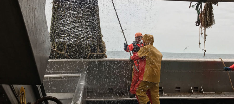 Flyshoot visserij Noordzee bemanning