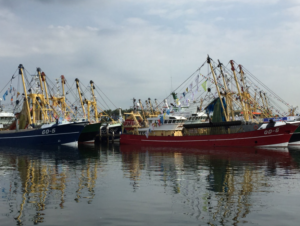 Dag van de Nederlandse Visserij 2018 in Stellendam