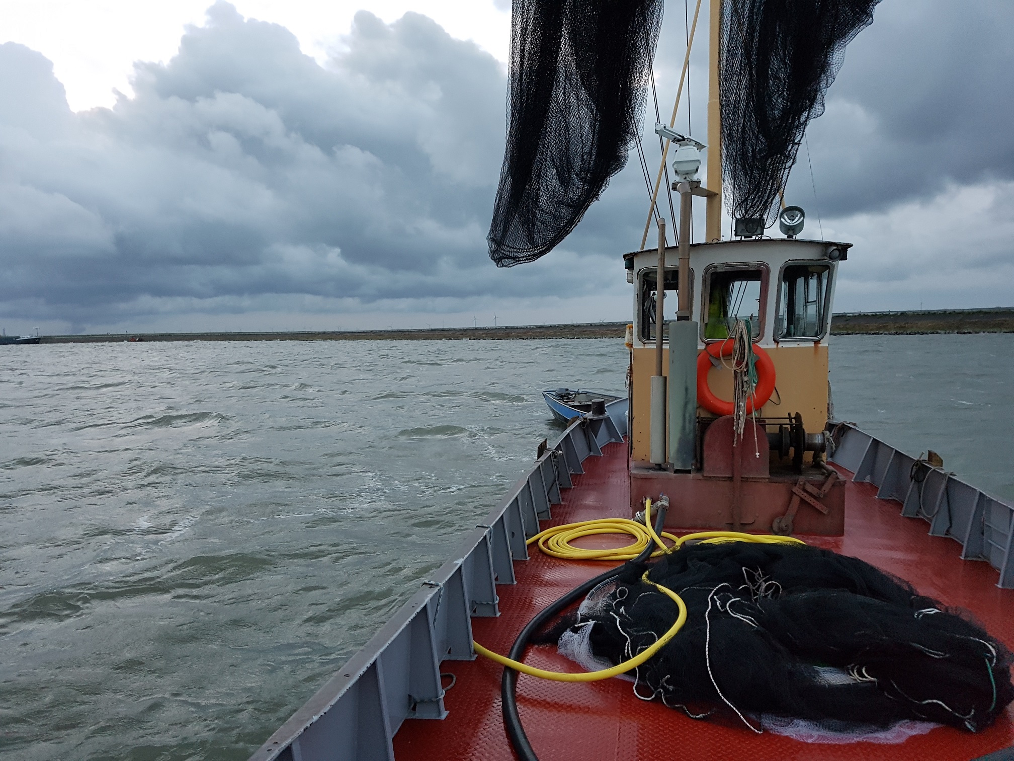 Markermeer HK-17 paling