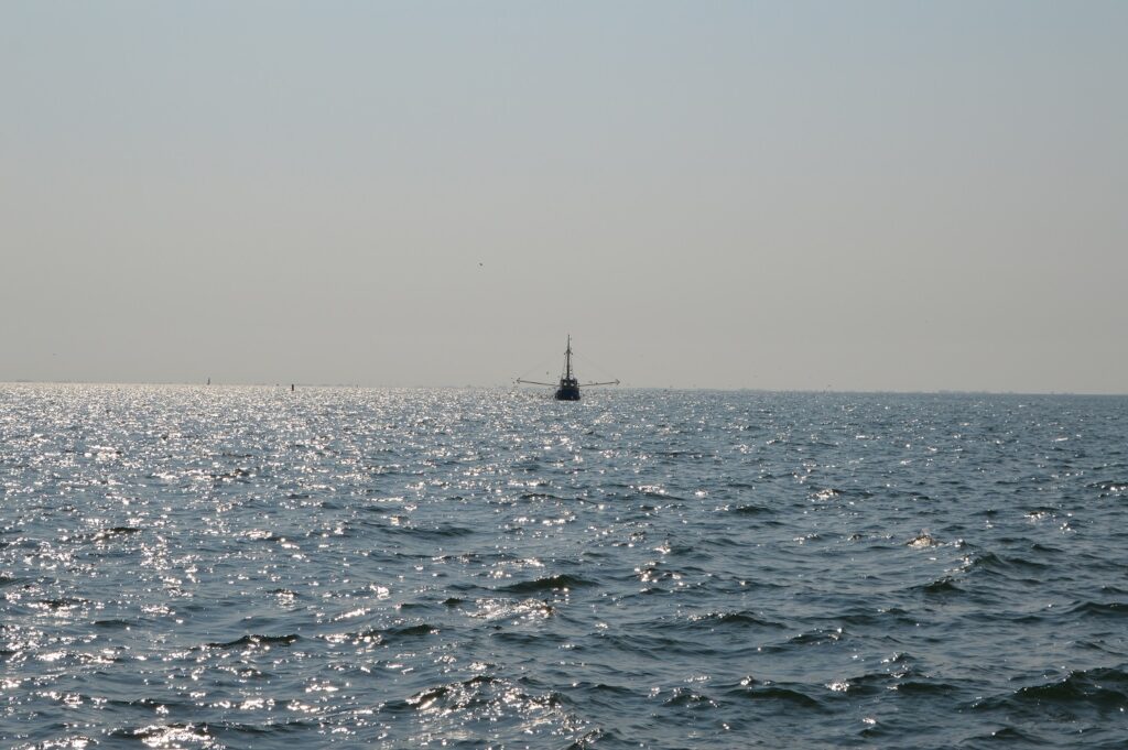 waddenzee