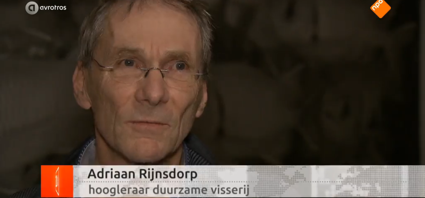 adriaan rijnsdorp over pulsvisserij