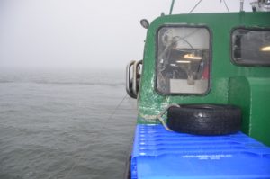 IJsselmeervissers accepteren geen verdere vangstreductie