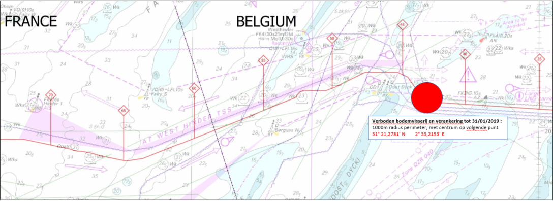 Offshore Nemo Link