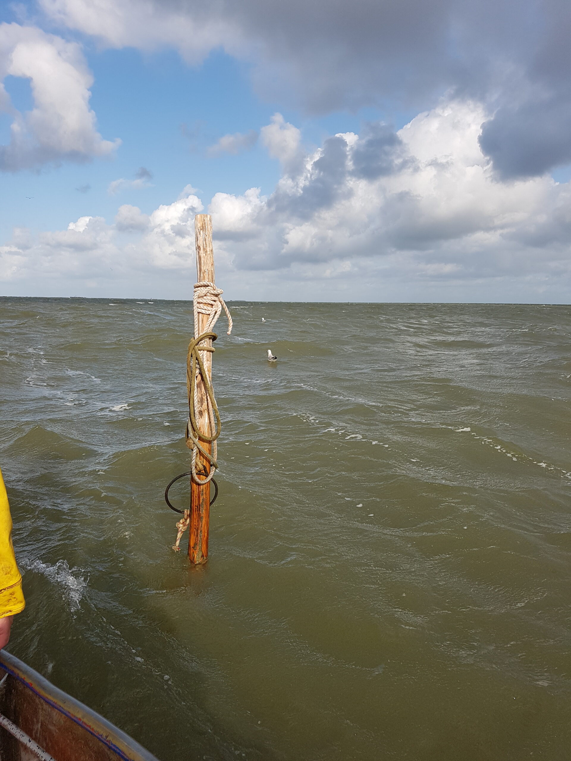 versterking ijsselmeerdijk